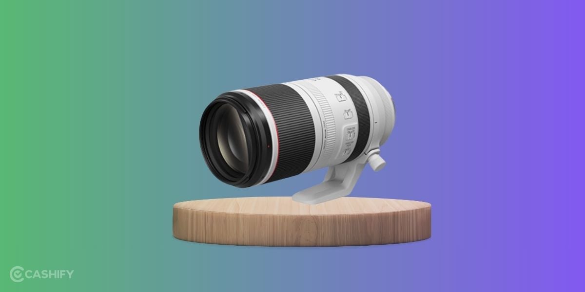 Canon RF lens is the best lens for wildlife photography from Canon
