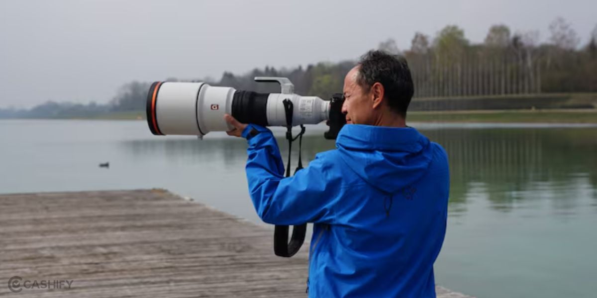 criteria for best lens in wildlife photography