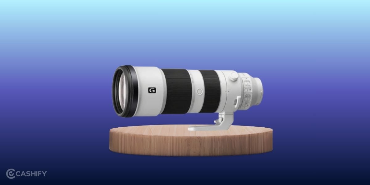 Sony FE lens 200mm is the best lens for wildlife photography from Sony