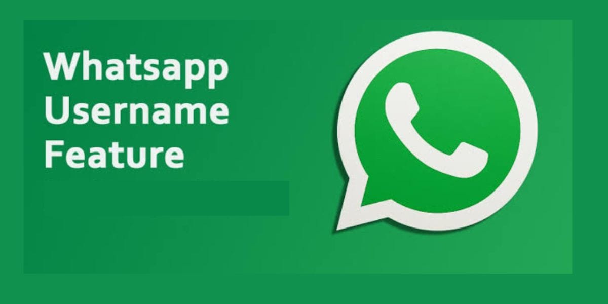 WhatsApp Username Feature Ban: Indian Government Puts A Hold On The Rollout