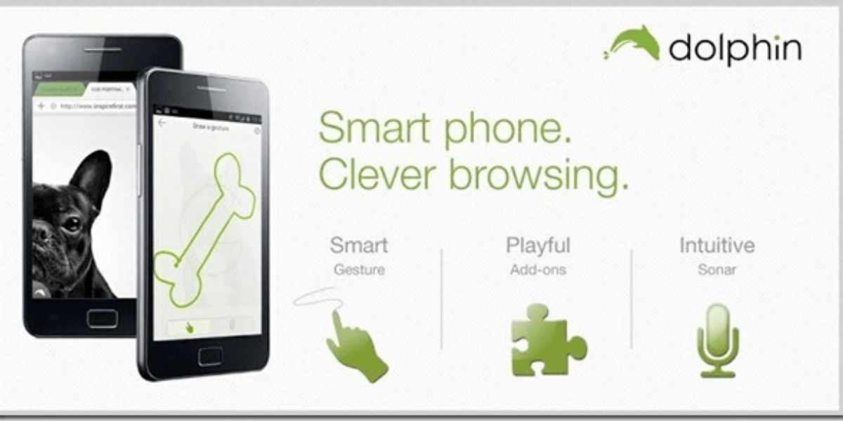 Dolphin Browser
