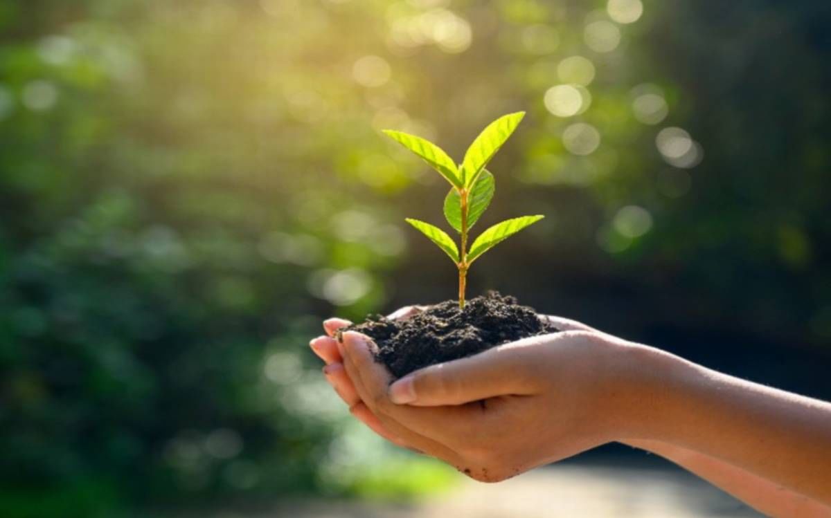Cashify Special On Environment Day 2020 In Times Now