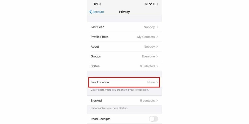 live location feature on whatsapp
