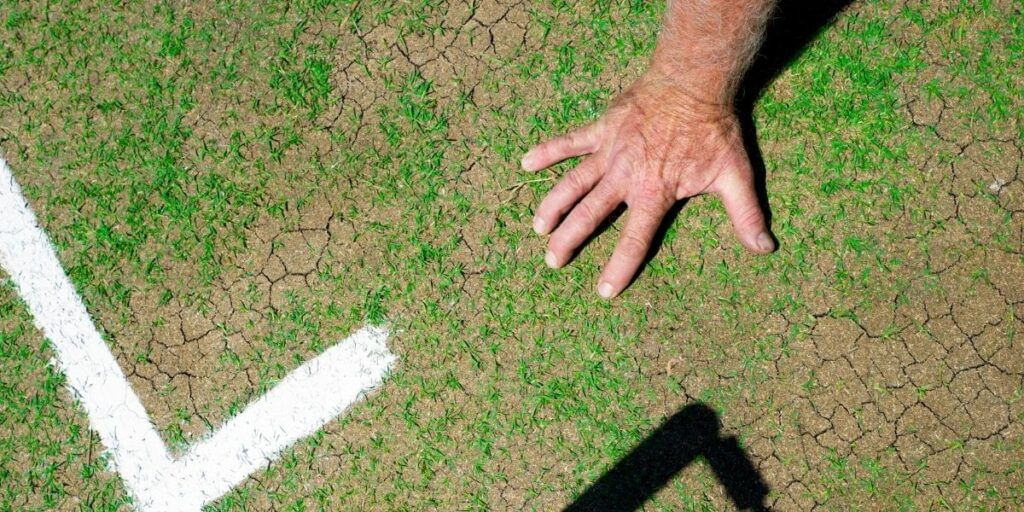 Dream 11 prediction tips