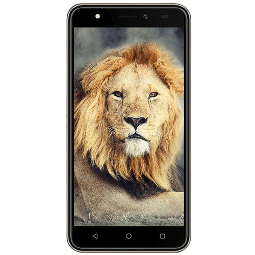 Intex Aqua Lions T1 Front