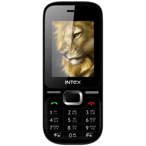 Intex Leo Front