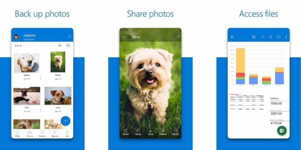 Microsoft OneDrive