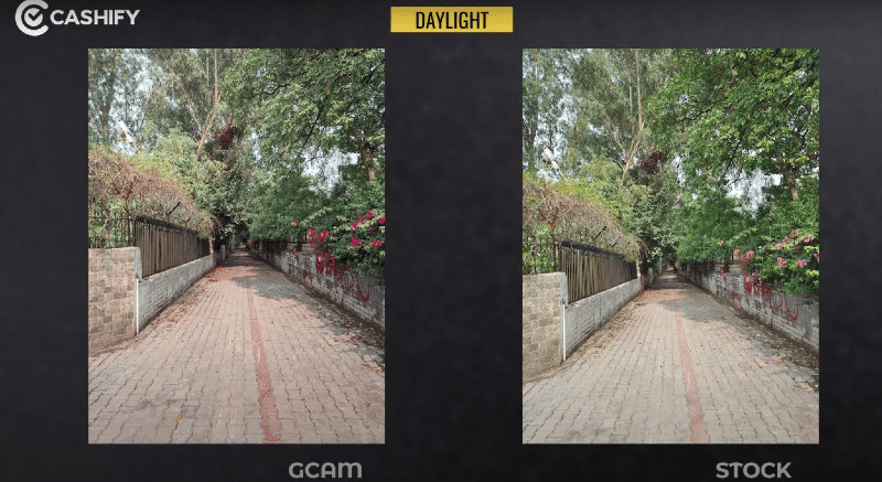 iQOO 7 Daylight Shot
