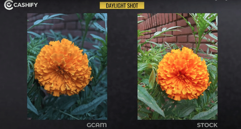 iqoo 7 macro