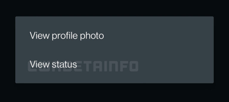 WhatsApp: View Status by Tapping on Profile Picture