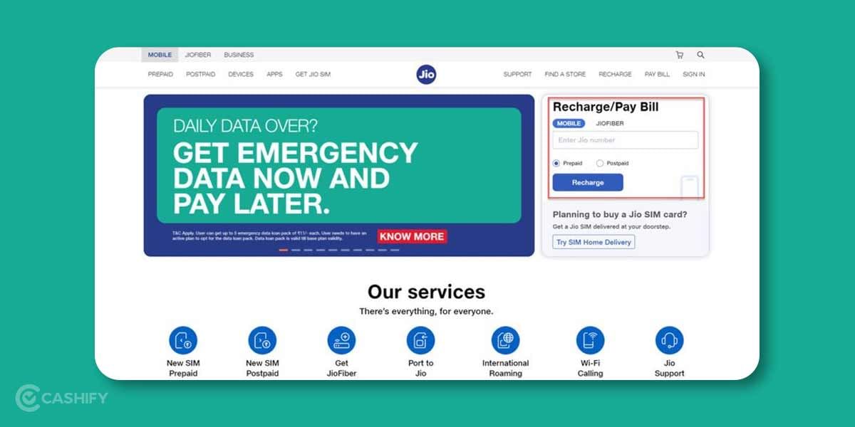 Check Balance On Website