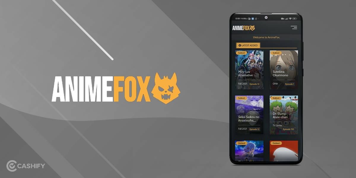 AnimeFox Web best anime app