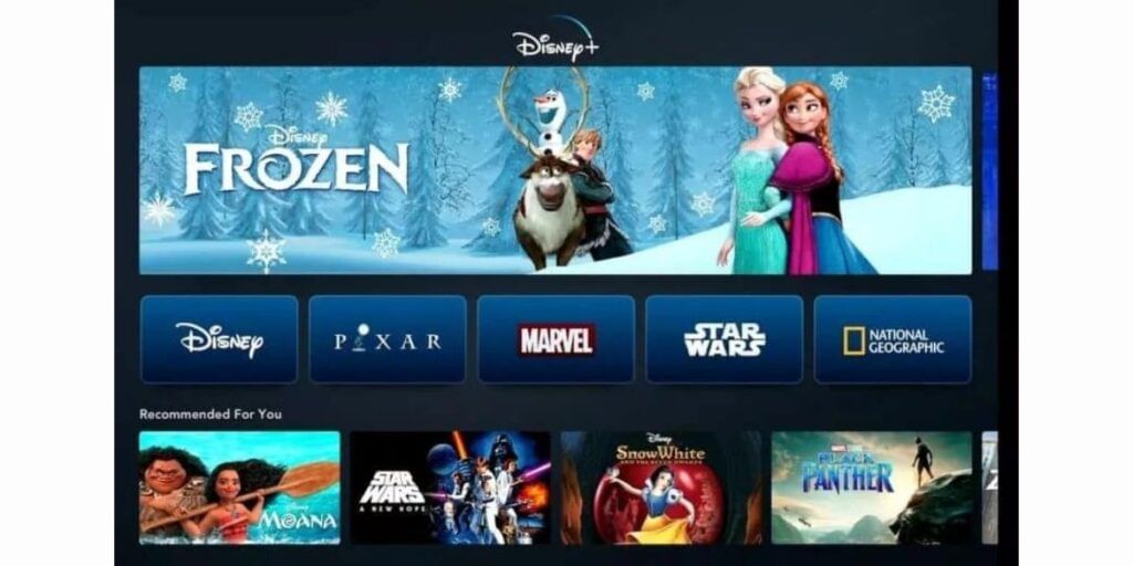 Interface and UI of Disney Plus