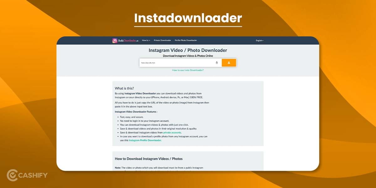 Instadownloader.co