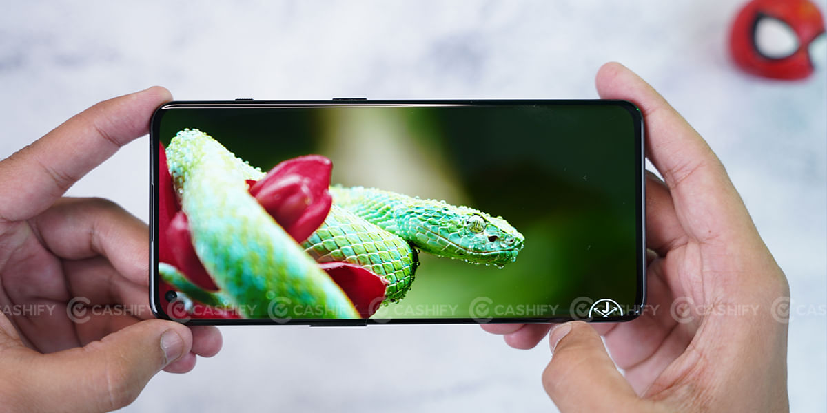 OnePlus 10 Pro Display quality