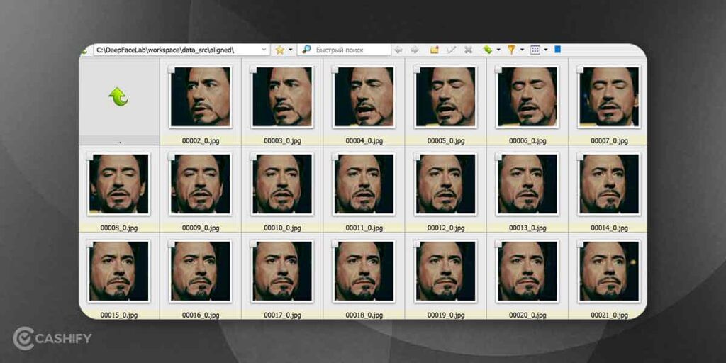 DeepFaceLab website