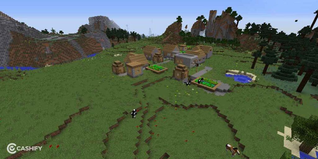Tundra Village Seed