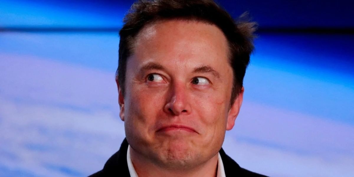 Elon Musk now owns Twitter