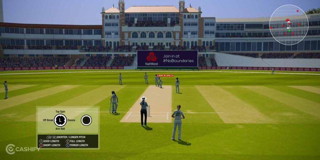 Cricket 19