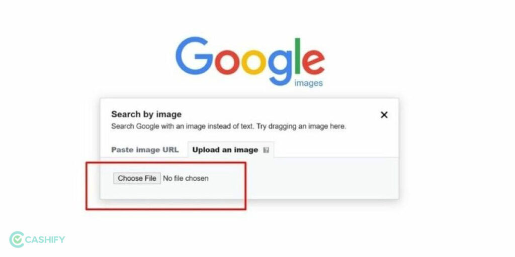Google Image and Video Search