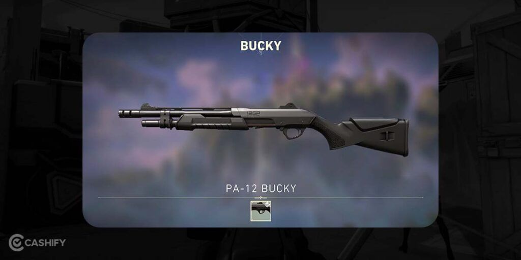 Bucky