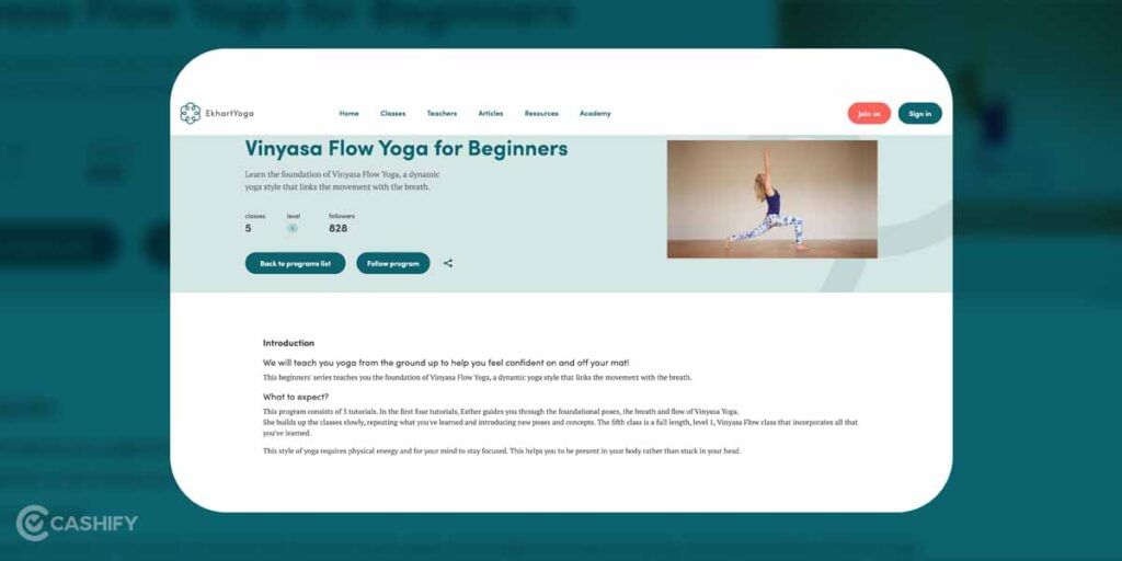 Vinyasa Flow