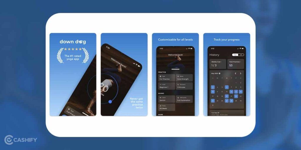 Down Dog app learn yoga online for free