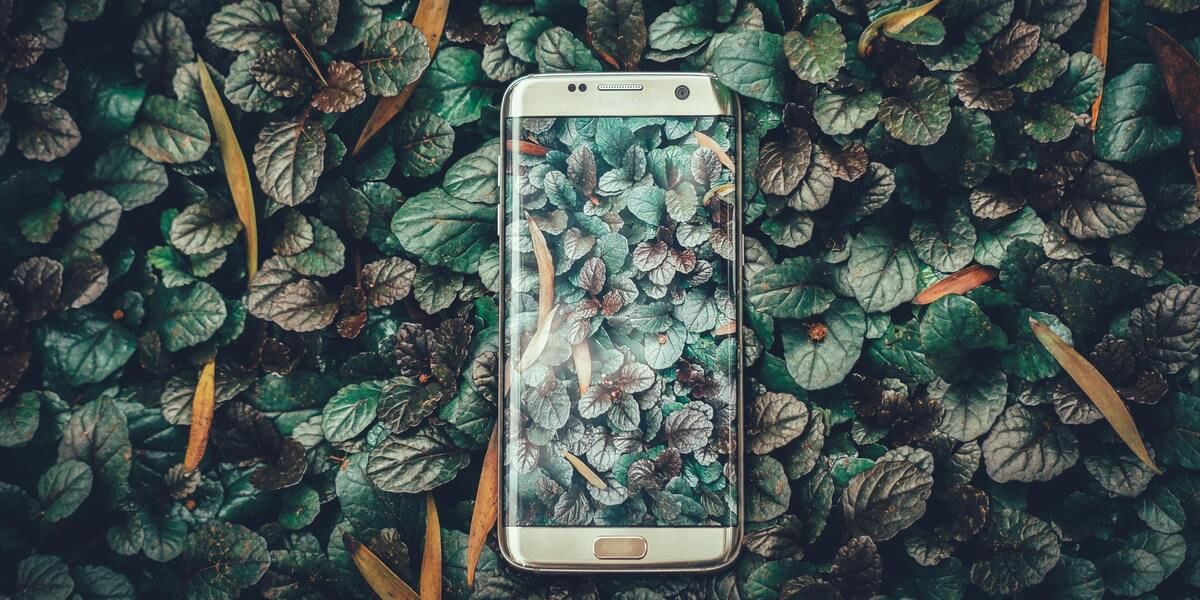7 Best Phones Under 12000 In India October 2025