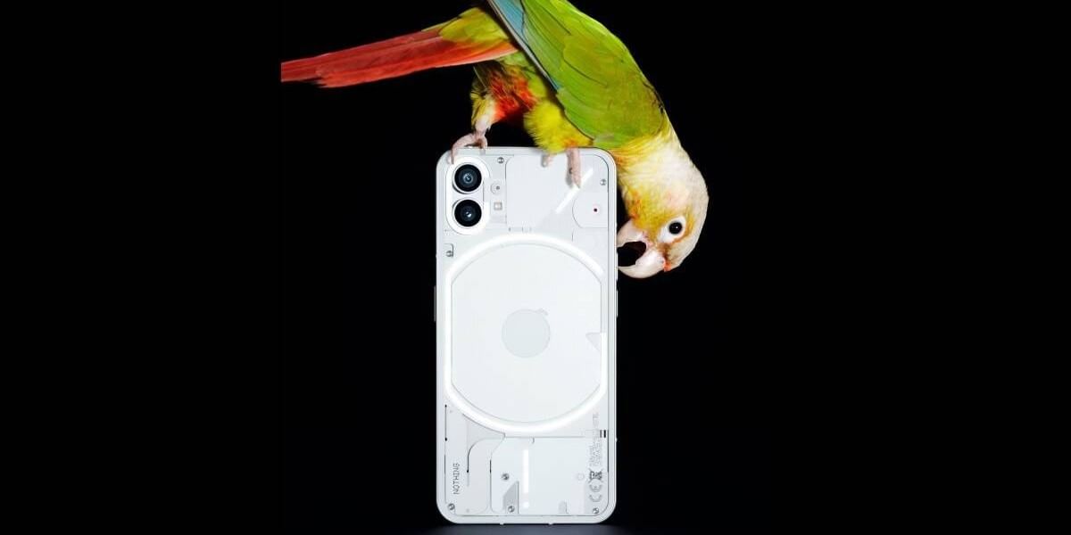 How To Buy The Nothing Phone (1) In India? Check Out The Details!