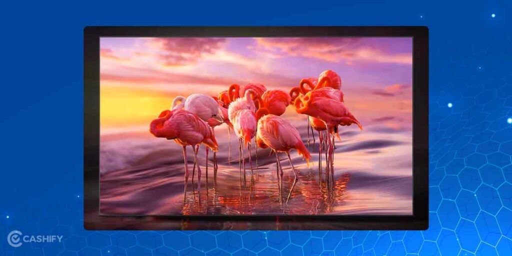 QLED Vs OLED brightness