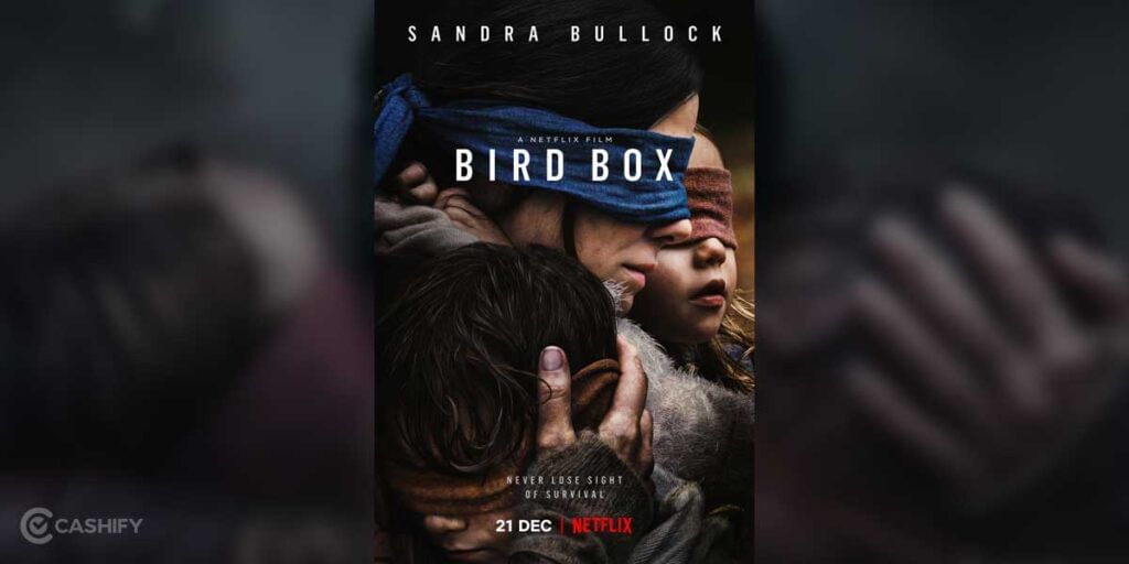 Bird Box