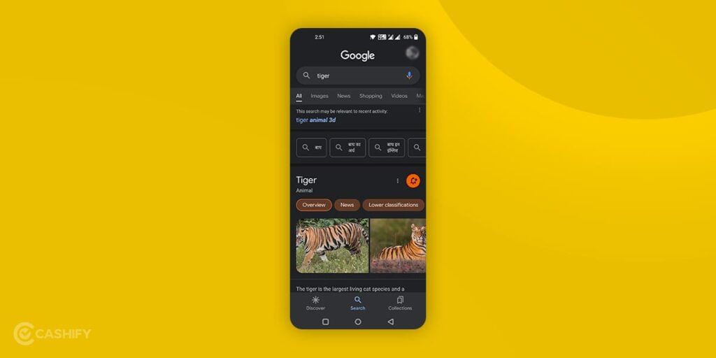 Watch 3D Animals in Google