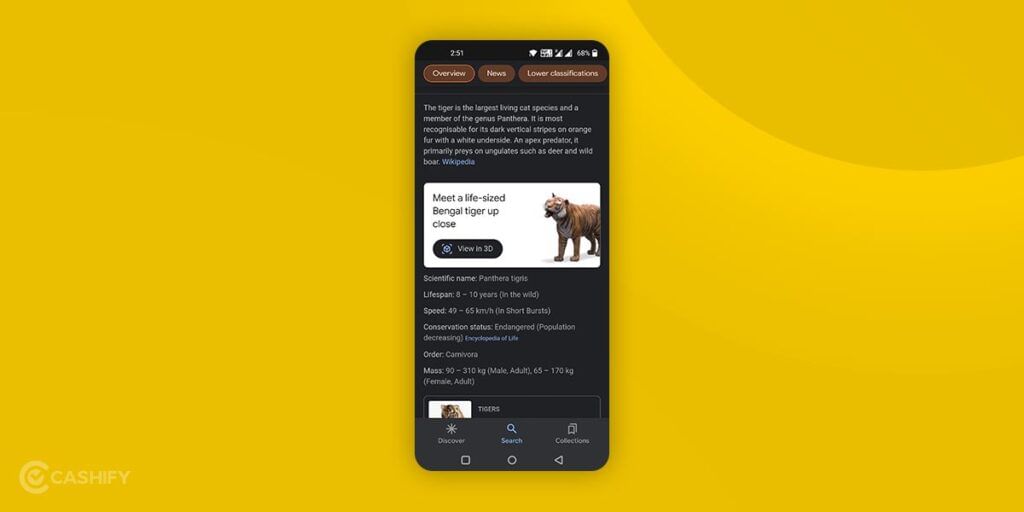 Watch 3D Animals in Google