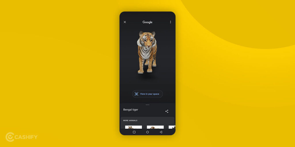 Watch 3D Animals in Google