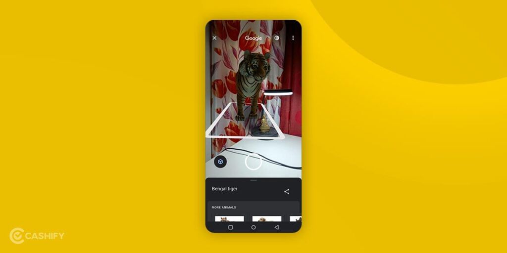 Watch 3D Animals in Google