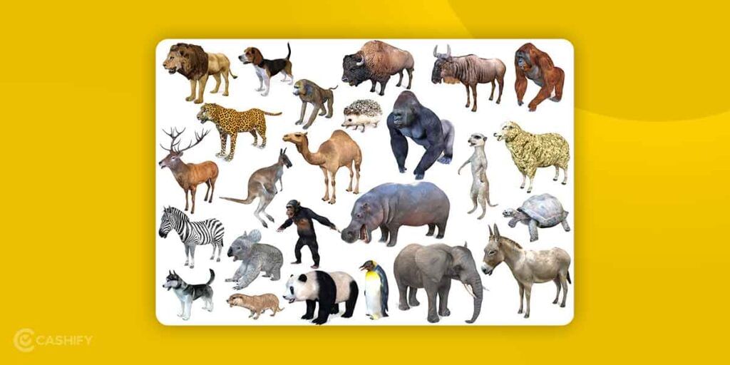 3D Animals you can watch in Augmented Reality