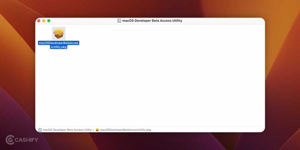 Installation Package of Beta Profiles MacOS ventura