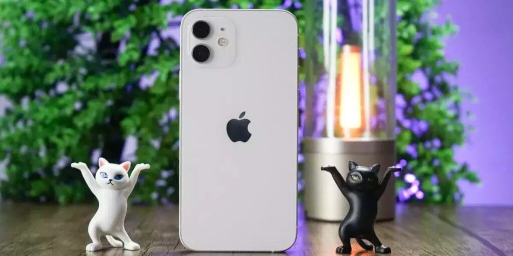 iPhone 12 Radiation Issue