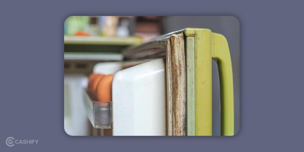 clean refrigerator gasket