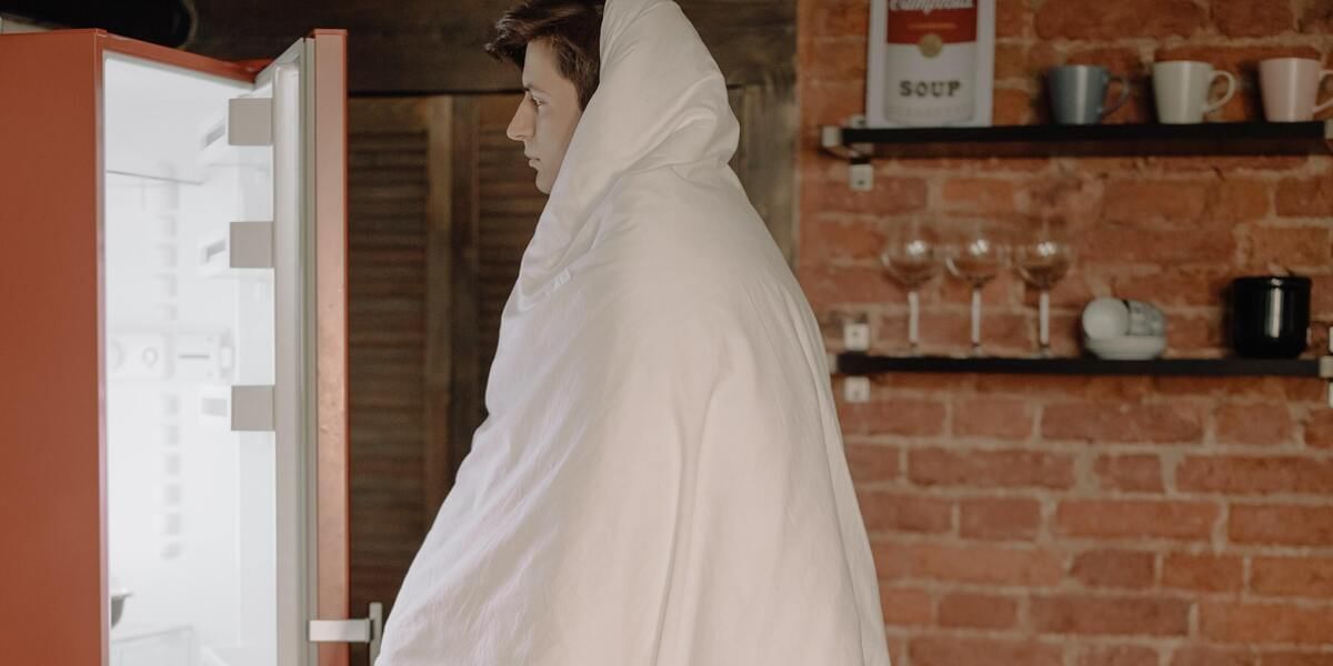 5 Best 5 Star Refrigerators In India October 2025