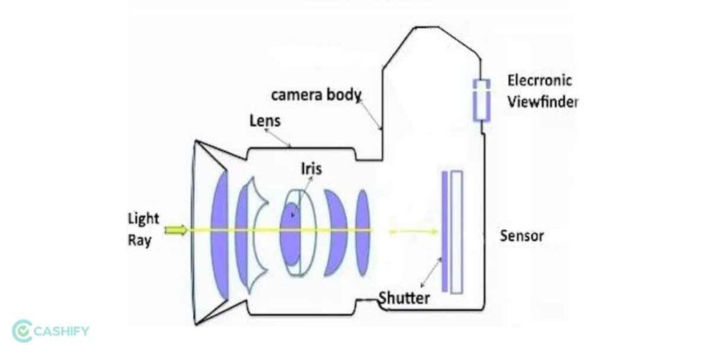 How Mirrorless Camera Works