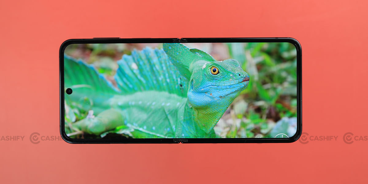 Galaxy Z Flip4 Display quality