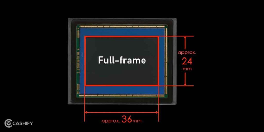 APS C vs Full Frame Camera