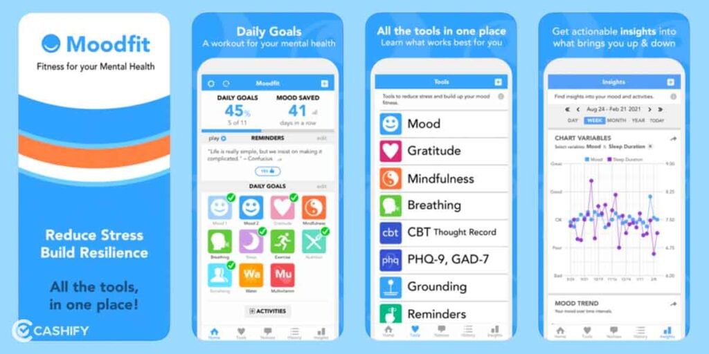 moodfit