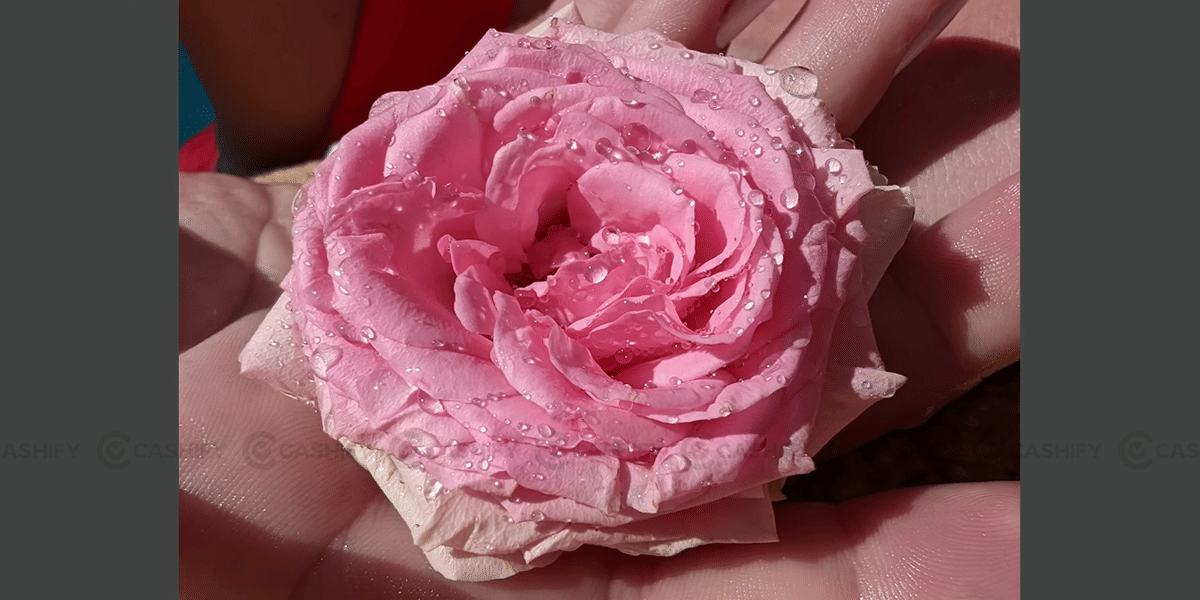Pixel macro focus mode