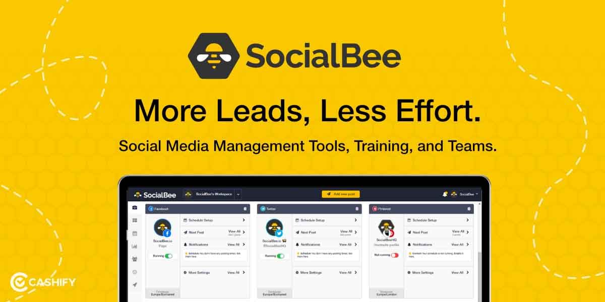 social bee best Social Media Management Tool