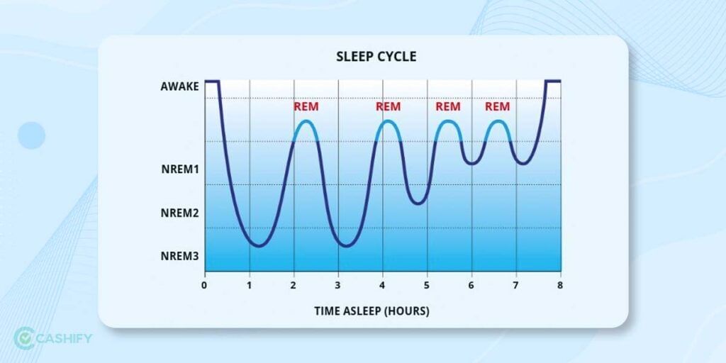 Different Stages Of a Human’s Sleep Cycle