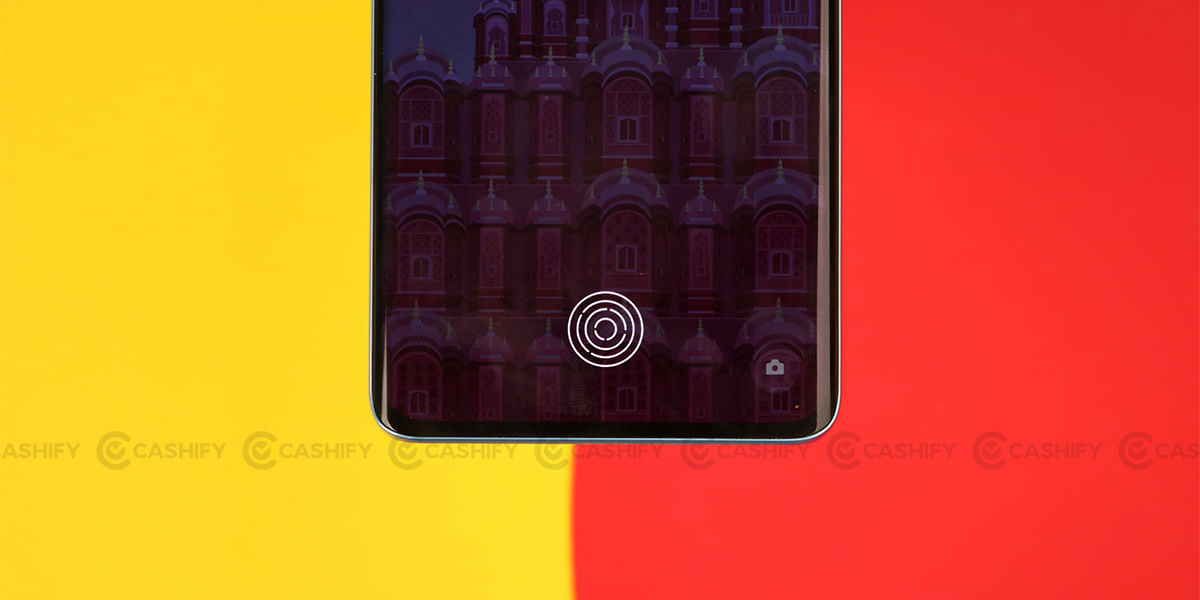 Realme 10 Pro Plus, Biometrics