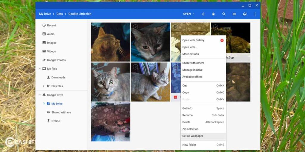 How Can You Set a Custom Wallpaper For Your Chromebook_3?