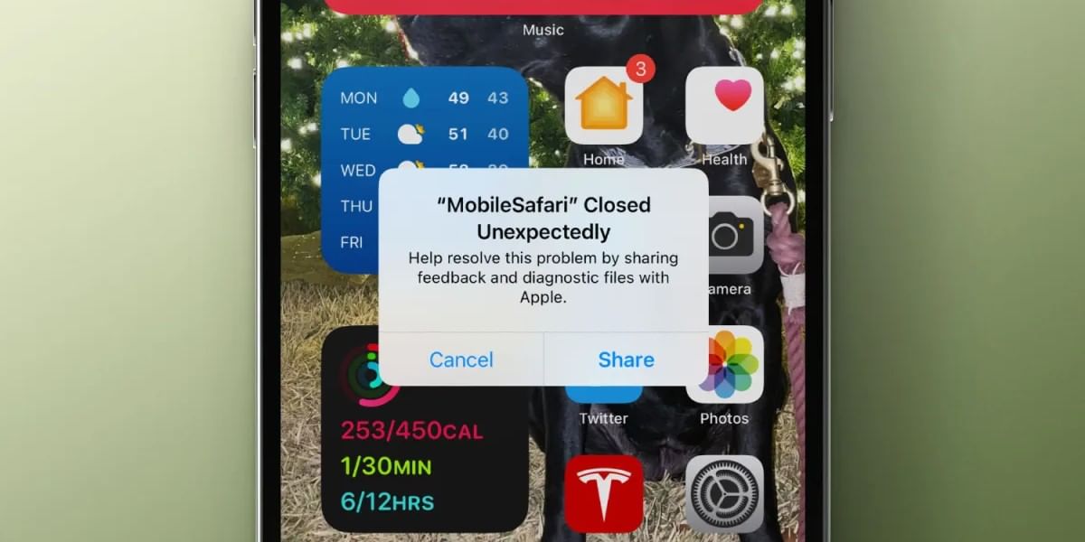 iPhone Safari Bug Detected, Know The Exact Cause